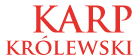 Karp królewski
